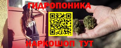 гашик Гусь-Хрустальный