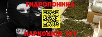 гашик Гусь-Хрустальный