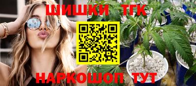 гашик Гусь-Хрустальный
