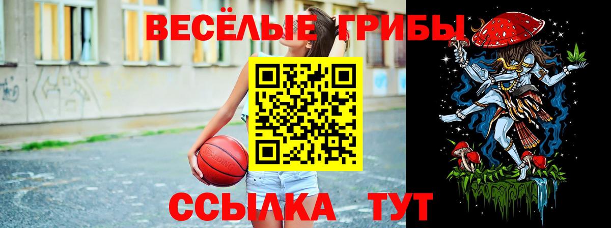 Мыски  Псилоцибиновые грибы мухоморы  Вход с VPN  Галлюциногенные грибы ЛСД 