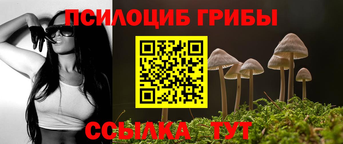Псилоцибиновые грибы Cubensis Мыски